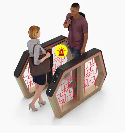 Anti-Intrusion & Reverse Protection