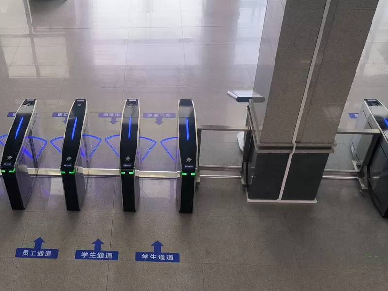 DR.TD.6983 in University